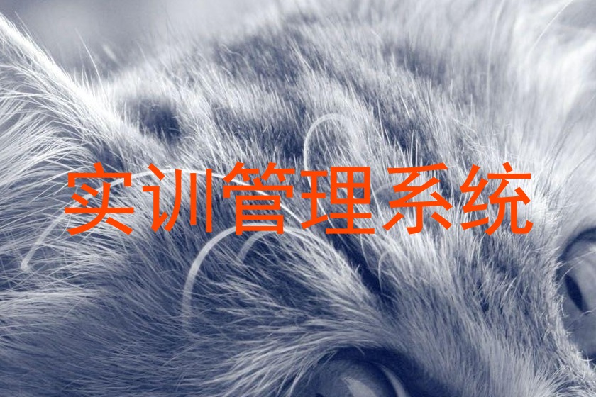 实训管理系统