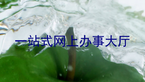一站式网上办事大厅
