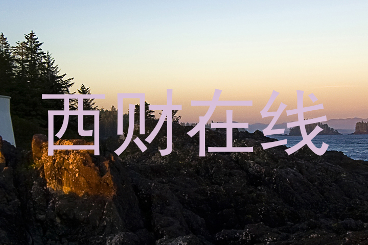西财在线