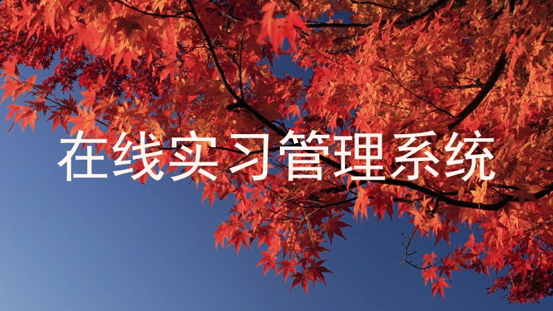 在线实习管理系统