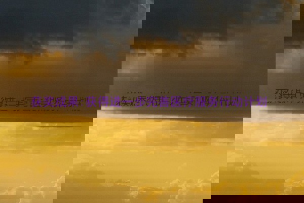获奖成果:获得进一步完善医疗服务行动计划
