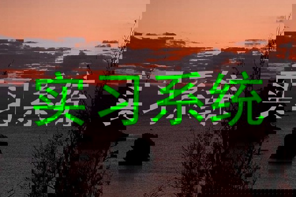 实习系统