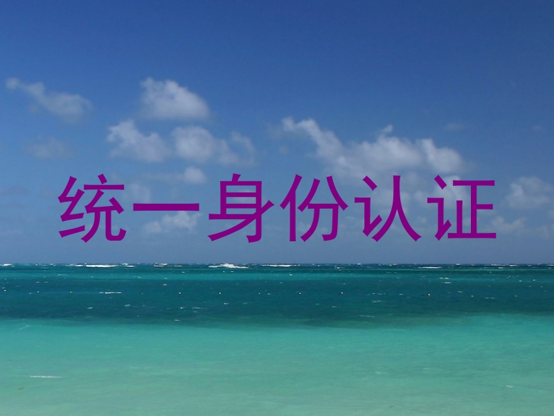 统一身份认证