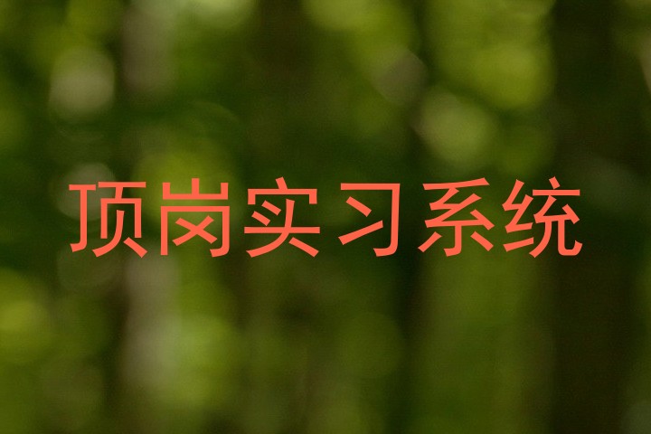 顶岗实习系统