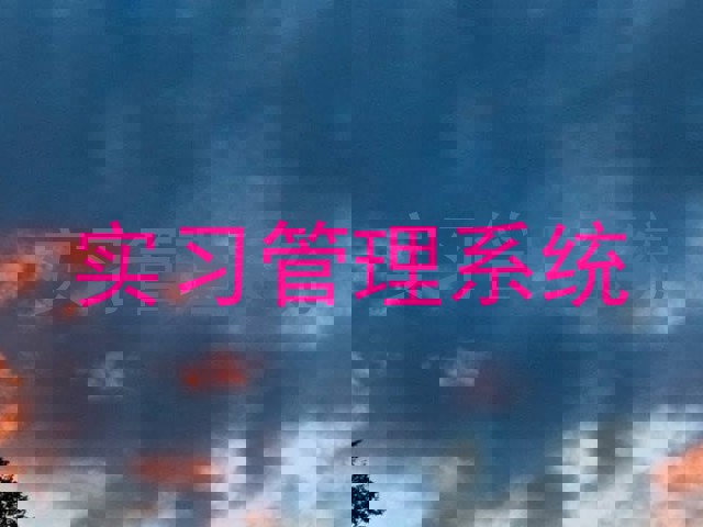 實(shí)習(xí)管理系統(tǒng)