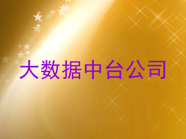 大数据中台公司