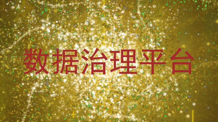 数据治理平台