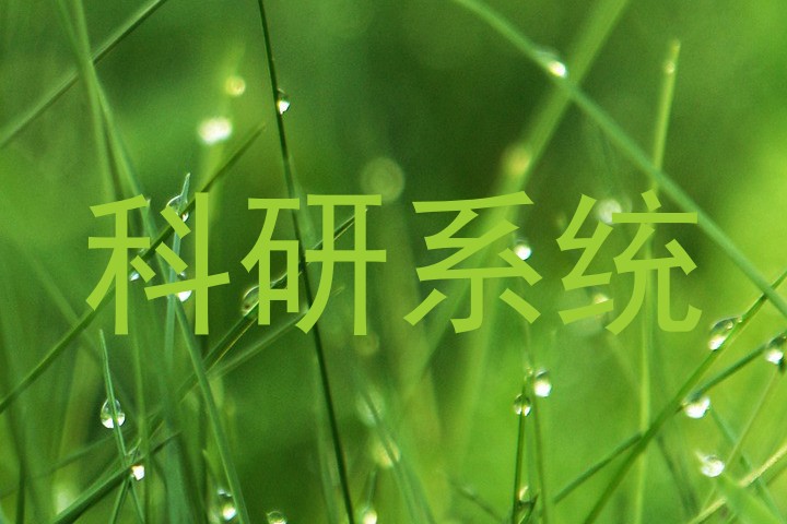 科研系统