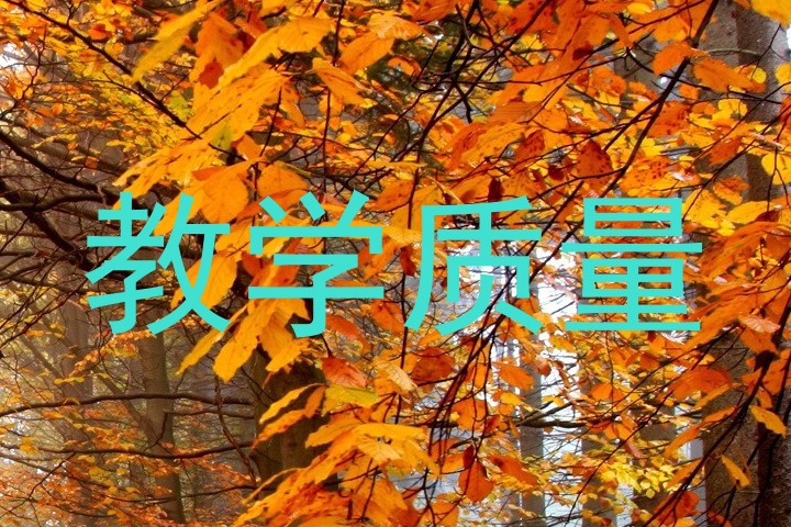 教学质量