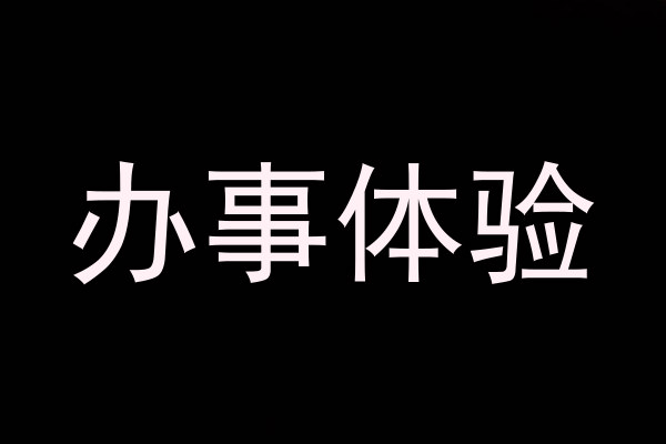 办事体验