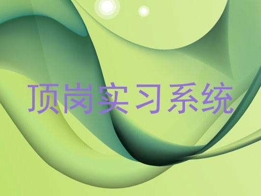 顶岗实习系统