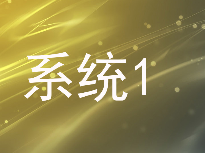 系统1
