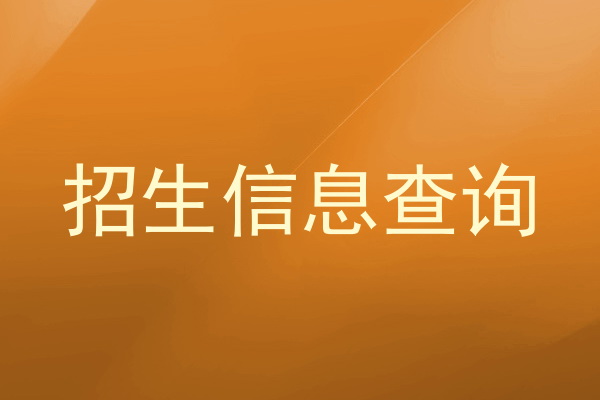 招生信息查询