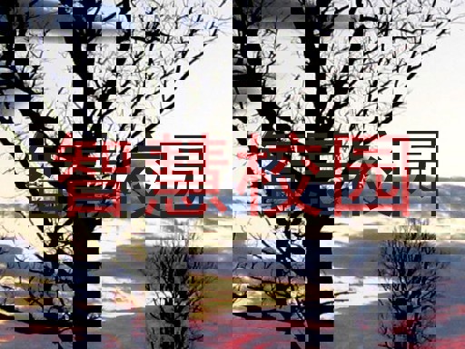 智慧校園