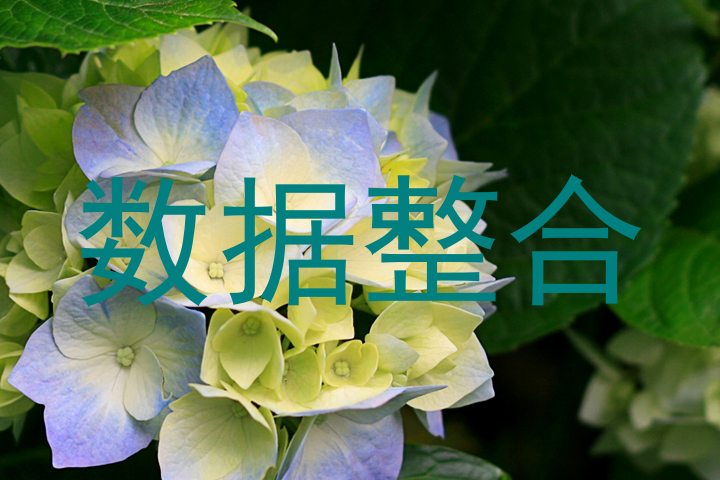 数据整合