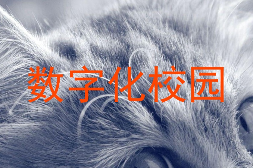 數(shù)字化校園