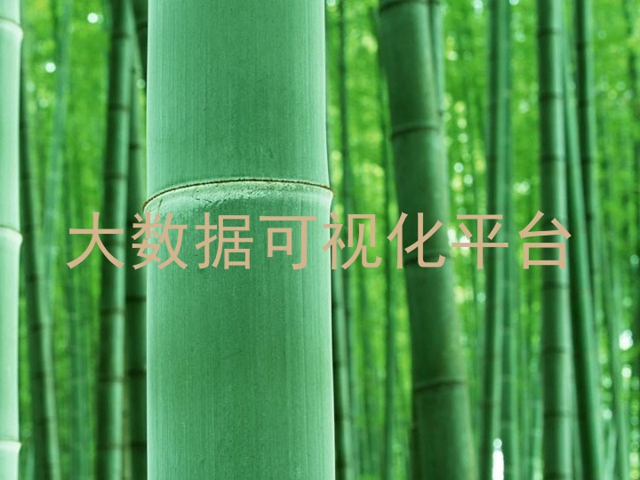 大数据可视化平台