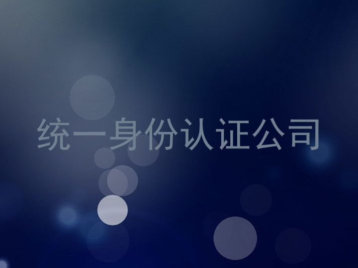 统一身份认证公司