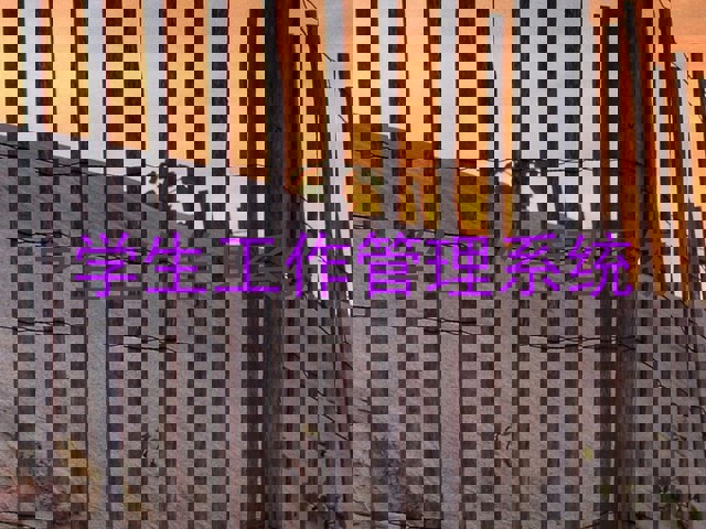 学生工作管理系统