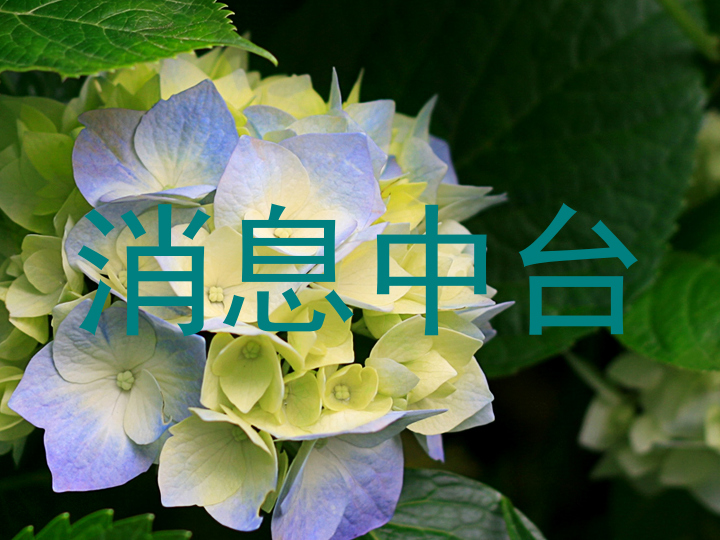 消息中臺