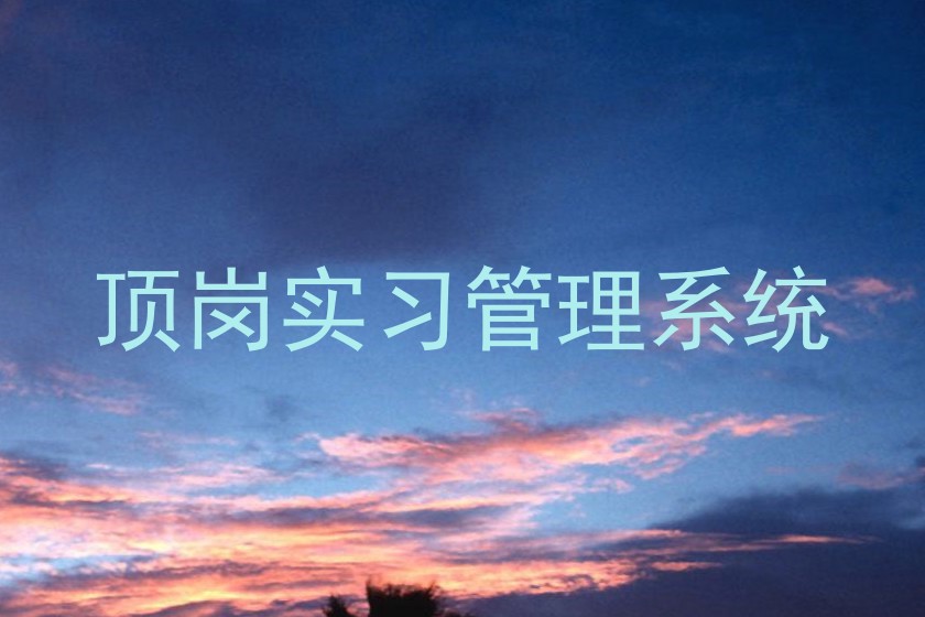 顶岗实习管理系统