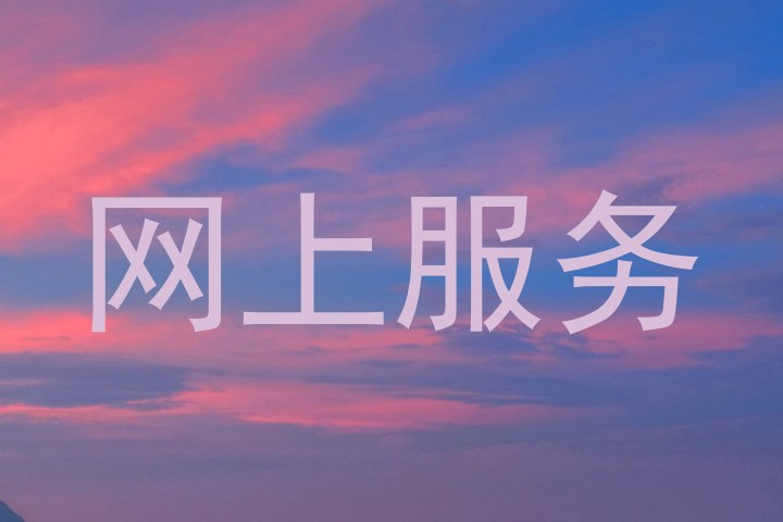 网上服务