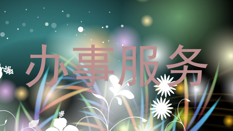 办事服务