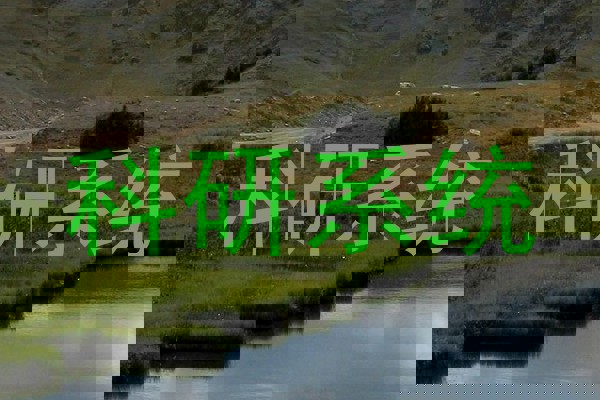 科研系统