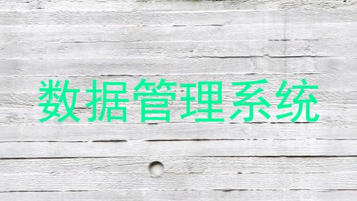 数据管理系统