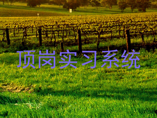 顶岗实习系统