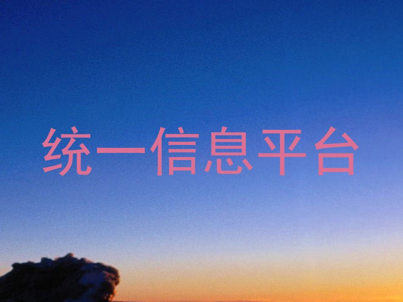 統(tǒng)一信息平臺(tái)
