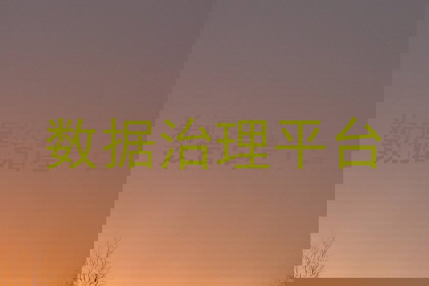 数据治理平台