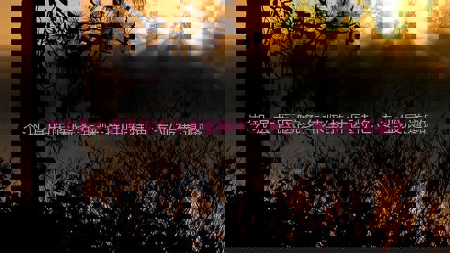 岑巩县中医医院多年来坚持中医特色、专业发展道路