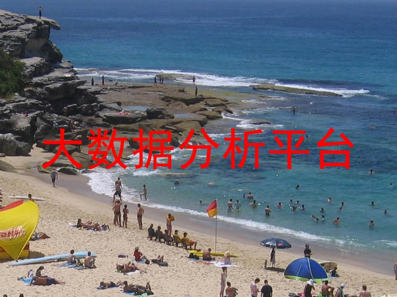 大数据分析平台