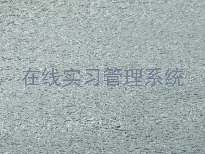 在线实习管理系统