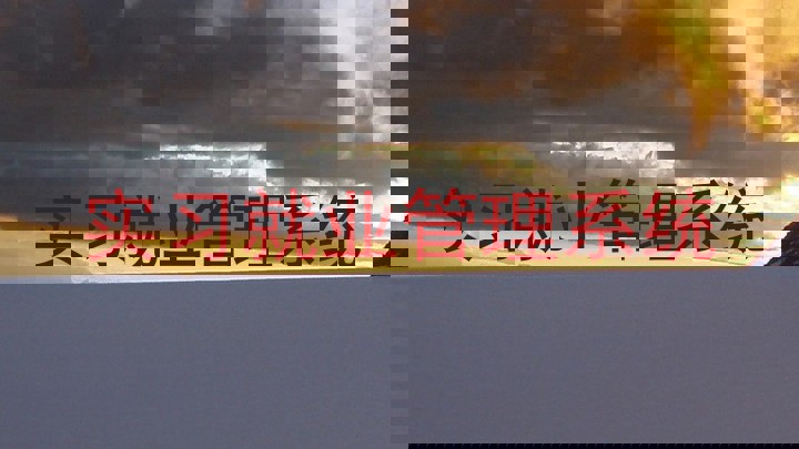 实习就业管理系统