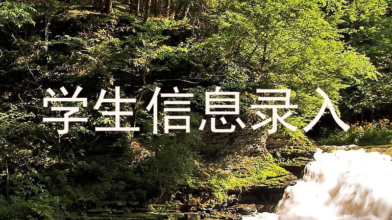 学生信息录入