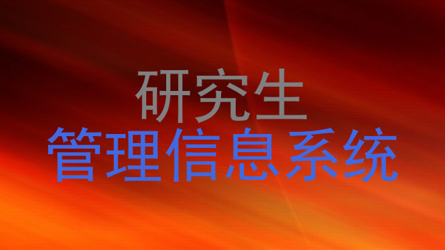 研究生|管理信息系统