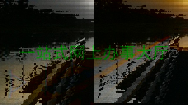 一站式网上办事大厅