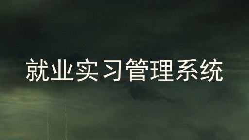 就业实习管理系统