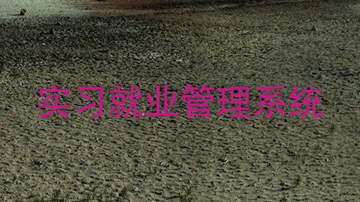 实习就业管理系统