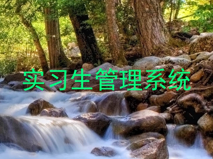 实习生管理系统