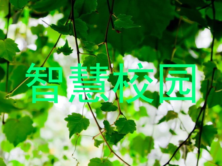 智慧校园