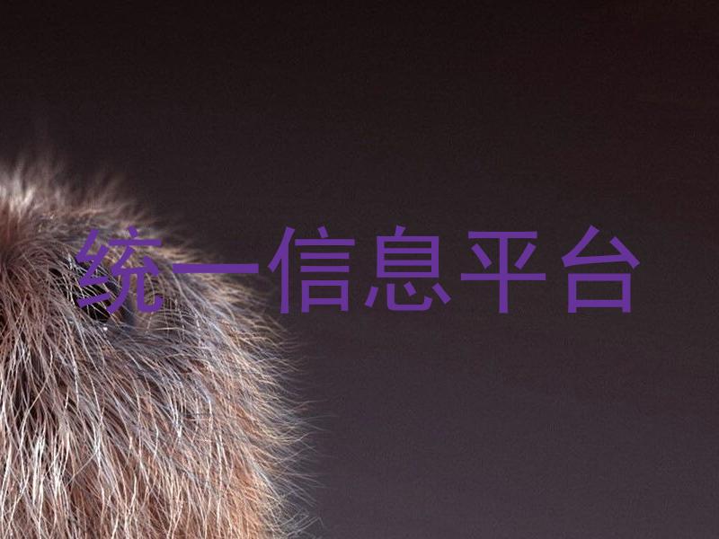 統(tǒng)一信息平臺