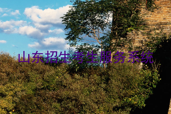 山东招生考生服务系统