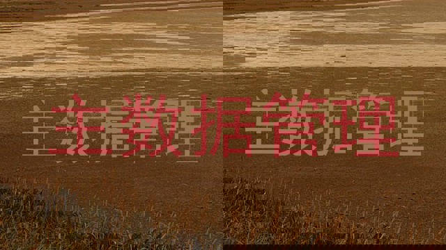 主数据管理