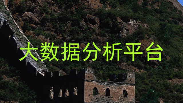 大数据分析平台