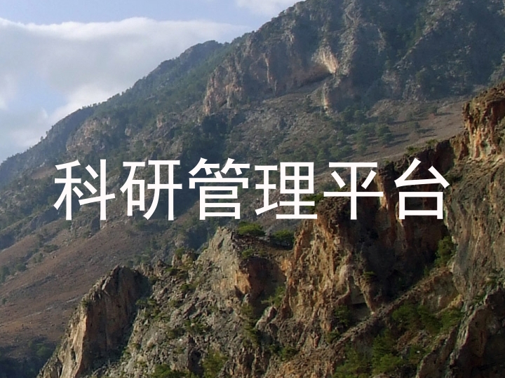 科研管理平台
