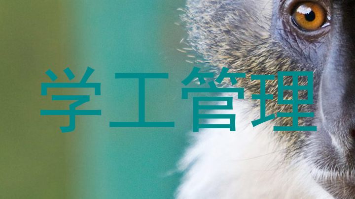 学工管理