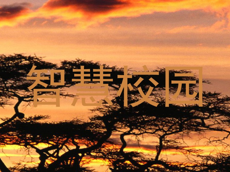 智慧校园